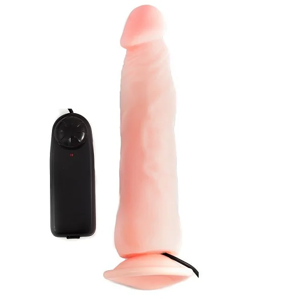 Vibrator Cu Telecomanda 22 Cm